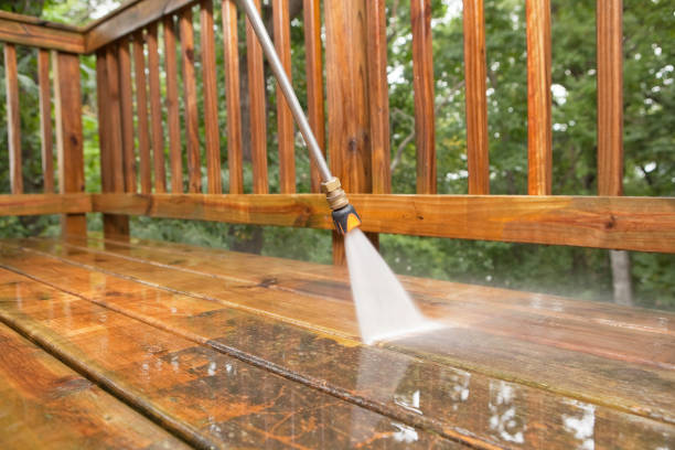 Best Driveway Pressure Washing  in Waynesboro, MS